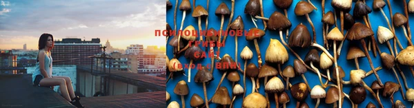 хмурый Балабаново